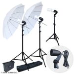 LINCO Lincostore 600W Photography Photo Video Portrait Studio Day Light Umbrella Continuous Lighting Kit AM153