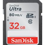 SanDisk 32GB Ultra Class 10 SDHC UHS-I Memory Card Up to 80MB, Grey/Black (SDSDUNC-032G-GN6IN)