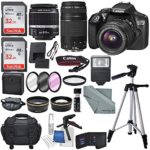 Canon EOS Rebel T6 DSLR Camera with EF-S 18-55mm f/3.5-5.6 IS II Lens, EF 75-300mm f/4-5.6 III Lens, and Deluxe Accessory Bundle
