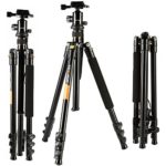 Camera Tripod, K&F Concept Aluminum Tripod TM2324 62 Inch with Ball Head Quick Release Plate DSLR Tripod for Camera Canon Nikon Sony DSLR DV Black Compact Tripod