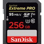 SanDisk Extreme Pro 256GB SDXC UHS-I Card (SDSDXXG-256G-GN4IN)