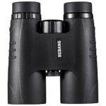 BEBANG Binoculars for Bird Watching, Compact 10×42 Wide View for Adults Outdoor Sightseeing, Rock Climbing, Travel, for Hunting, Concerts etc, Suitable for Sports and Outdoor Activities.