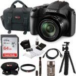 Panasonic LUMIX FZ80 4K Long Zoom Camera (18.1 Megapixels, 60X 20-1200mm Lens) + 64GB Accessory Bundle