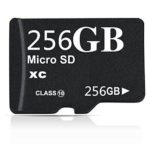 256GB Class 10 Micro SDHC Memory Card with SD Adapter (256GB)