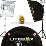 LITEBOX | Professional Photography Lighting Kit  – Continuous LED Softbox Studio Lights with Stands, Portable Softbox Light Diffusers, Travel Bag & Easy Beginners Guide! – (DIMMABLE)