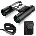 Binoculars for Adults, 10×32 Folding High Powered Compact HD Professional Waterproof Binoculars with Weak Light Night Vision for Bird Watching/Hunting/ Sightseeing/Outdoor/Travel/Stargazing/Sports