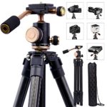 Lightweight DSLR Projector Stand,Professional Portable Camera Tripod with 1/4 Inch Screw,360°Panorama Ball Head and Quick Release Plate For Canon Nikon Olympus Devices DV camcorders and Projector