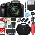 Panasonic DC-FZ80K 18.1MP 60x Optical Zoom Digital Camera + 64GB Deluxe Accessory Bundle