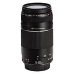 Canon EF 75-300mm f/4-5.6 III USM Telephoto Zoom Lens for Canon SLR Cameras