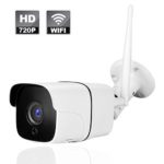 Wireless WIFI Outdoor IP Security Camera with Night Vision Up to 65ft Motion Detection Alarm/Recording, Support Max 64GB SD Card (external) AT-100BW