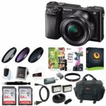 Sony Alpha a6000 Mirrorless Camera w/16-50mm Lens & Two 64GB SD Card Bundle