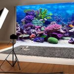 LFEEY Seabed Photography Background 10x8ft Tropical Fish Coral The Underwater World Sandy Beach Outdoor Pictures Lovers Adult Artistic Portrait Photoshoot Props Video Drape Wallpaper