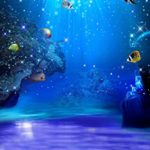 5x7ft Blue Sea Ocean The Underwater World Photographer’s Digital Studio Vinyl Floor Photography Backdrops Background