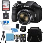 Sony DSCH300/B Digital Camera (Black) Bundle with 16GB SD Card, Rapid Multivoltage AC/DC Charger, 3100 Mah Rechargeable Batteries (Qty 4), Card Reader, Mini Tripod, Case