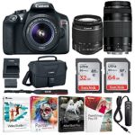 Canon EOS Rebel T6 Digital SLR Camera with 18-55mm EF-S f/3.5-5.6 is II and EF 75-300mm f/4-5.6 III Lenses with Deluxe Software Bundle and 90GB (64GB + 32GB Memory Cards)