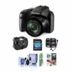 Panasonic Lumix DC-FZ80 Digital Point & Shoot Camera – Bundle With 16GB SDHC Card, Camera Bag, Cleaning Kit, Memory Wallet, Software Package