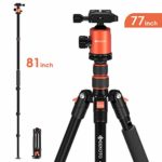 Geekoto Tripod, Camera Tripod for DSLR, Compact 77’’ Aluminum Tripod with 360 Degree Ball Head and 8kgs Load for Travel and Work
