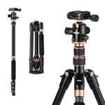 Rangers 57” Ultra Compact and Lightweight Aluminum Tripod with 360° Panorama Ball head, ideal for travel and work