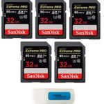 SanDisk 32GB (Five Pack) SD HC Extreme Pro Memory Card works with Digital DSLR Camera SDHC 4K V30 UHS-I (SDSDXXG-032G-GN4IN) with Everything But Stromboli (TM) Combo Reader