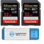 SanDisk 32GB SDHC SD Extreme Pro Memory Card (Two Pack) Bundle works with Nikon D3500, D7500, D5600 Digital DSLR Camera 4K V30 U3 (SDSDXXG-032G-GN4IN) Plus (1) Everything But Stromboli (TM) 3.0 Reader