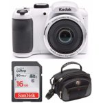 Kodak PIXPRO AZ252 Point & Shoot Digital Camera with 3” LCD (White) with 16GB Card and SwissGear Sherpa Large Camera Case