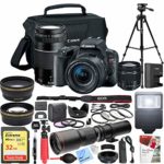 Canon EOS Rebel SL2 DSLR Camera with EF-S 18-55mm f/3.5-5.6 + EF 75-300mm f/4-5.6 III Dual Lens Kit + 500mm Preset f/8 Telephoto Lens + 0.43x Wide Angle, 2.2X Pro Bundle