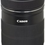 Canon EF-S 55-250mm F4-5.6 is STM Lens for Canon SLR Cameras (Certified Refurbished)