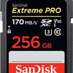 SanDisk 256GB Extreme PRO SDXC UHS-I Card – C10, U3, V30, 4K UHD, SD Card – SDSDXXY-256G-GN4IN