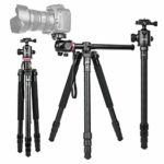 360°Horizontal rotation Professional Travel Camera Tripod, Portable Projector Stand with 360°Panorama Ball Head,1/4 Quick Release Plate and Bubble Level for Canon Nikon Sony Olympus Fuji Projector D