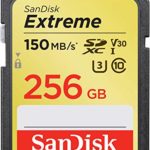 SanDisk 256GB Extreme SDXC UHS-I Card – C10, U3, V30, 4K UHD, SD Card – SDSDXV5-256G-GNCIN