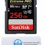 SanDisk 256GB SDXC SD Extreme Pro Memory Card Bundle Works with Canon EOS Rebel SL2, SL1, T4i, T6s Digital DSLR Camera 4K (SDSDXXG-256G-GN4IN) Plus (1) Everything But Stromboli (TM) Combo Card Reader