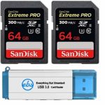 SanDisk 64GB SDXC SD Extreme Pro UHS-II Memory Card (Two Pack Bundle) 300MB/s 4K V30 U3 (SDSDXPK-064G-ANCIN) Plus (1) Everything But Stromboli (TM) 3.0 Card Reader