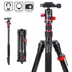 Zomei M5 Travel Camera Tripod,Lightweight Aluminum Tripod Compact Portable Stand with 360 Degree Ball Head and Carry Bag for Canon Nikon Sony Samsung Olympus DSLR