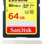 SanDisk 64GB Extreme Memory Card works with Canon EOS Rebel SL2, T6, T6i, T5i EF-S, EOS 80D, Powershot Camera SDXC 4K V30 UHS-I (SDSDXVE-064G-GNCIN) with Everything But Stromboli Combo Reader