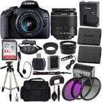 Canon EOS 2000D (Rebel T7) Digital SLR Camera with 18-55mm DC III Lens Kit (Black) Professional Accessory Bundle Package Includes: SanDisk Ultra 64GB SDXC Memory Card + 50” Tripod + Filters and More