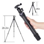 AOKA 28in/1.1lb Lightweight Compact Carbon Fiber Tripod with 360° Ballhead Travel Mini Tripod for Mobile Phone and Compact Mirrorless Cameras