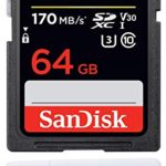 SanDisk 64GB SDXC Extreme Pro Memory Card Works with Sony Alpha a7r II, a7r III, a9 Mirrorless Camera 4K V30 UHS-I (SDSDXXY-064G-GN4IN) Plus (1) Everything But Stromboli (TM) Combo Reader