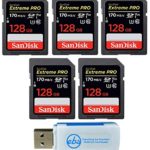 SanDisk (Five Pack) SD Extreme Pro Memory Card Works with Digital DSLR Camera 4K V30 UHS-I (SDSDXXY-GN4IN) Bundle with Everything But Stromboli (TM) Combo Reader