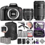 Canon EOS Rebel T7i DSLR Camera with 18-55mm is STM and 55-250mm Lens with Altura Photo Advanced Accessory and Travel Bundle