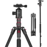 Neewer 77-Inch Tripod, Camera Tripod for DSLR, 2-in-1 Compact Aluminum Tripod Monopod with 360 Degree Ball Head, 2 Center Axis, QR Plate and 8 Kilograms Load for Travel and Work, Carry Bag Included