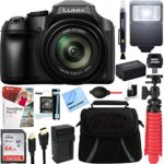 PANASONIC Lumix FZ80 4K 18.1MP Point & Shoot Digital Camera, 60X 20-1200mm Lens, WiFi, Black Bundle with Paintshop Pro 2018 Digital Download, 64GB Memory Card and Accessories (6 Items)