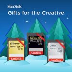 SanDisk 128GB Extreme SDXC UHS-I Card – C10, U3, V30, 4K UHD, SD Card – SDSDXV5-128G-GNCIN