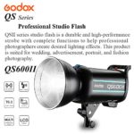 GODOX QS600II Studio Strobe Flash Light 600Ws Professional Photography Studio Light Monolight 150W Modeling Lamp for Indoor Studio Portrait Photography (QS600II)