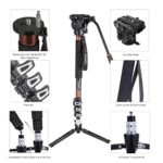 Cayer AF34 Professional Video Monopod Kit 71 inch Aluminum Telescopic Camera Monopod with Pan Tilt Fluid Head and 3-Leg Tripod Base for DSLR Video Cameras Camcorders