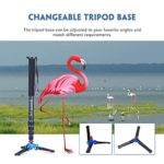 Moman Monopod Tripod with Feet for Camera DSLR Camcorder DV, Lightweight Portable Aluminum Alloy Unipod Alpenstock, Tripod Base Included, 5 Sections up to 65 inch