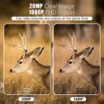 Mini Trail Camera,?2 Pack? 20MP 1080P with 32GB Card Game Cameras with Night Vision Motion Activated Waterproof Hunting Camera 80FT Detection Distance for Wildlife Monitoring