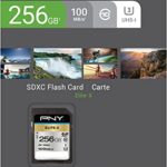 PNY 256GB Elite-X Class 10 U3 V30 SDXC Flash Memory Card – 100MB/s, Class 10, U3, V30, 4K UHD, Full HD, UHS-I, Full Size SD