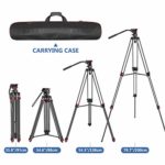 Neewer Professional Heavy Duty Video Tripod 78.7 inches Aluminum Alloy with 360 Degree Fluid Drag Head, Quick Shoe Plate/Bubble level for Nikon Canon DSLR Cameras Video Camcorders, Load up to 33pounds