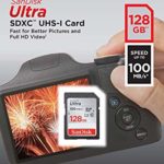 SanDisk 128GB Ultra – 5 Pack UHS-I Class 10 SD Flash Memory Card Retail (SDSDUNR-128G-GN6IN) – Bundle with Everything But Stromboli Combo Card Reader