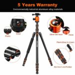 Victiv Joilcan 80-inch Tripod for Camera, Aluminum Tripod for DSLR,Monopod, Lightweight Tripod with 360 Degree Ball Head Stable for Travel and Work 18.5″-80″,24lb Load (Orange)